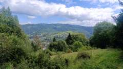 IMG_20250819_104657.jpg