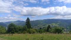 IMG_20250819_104839.jpg