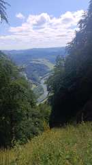 IMG_20250819_140148.jpg