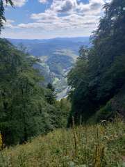 IMG_20250819_140153985_HDR.jpg