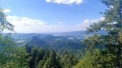 IMG_20250819_142155.jpg