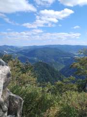 IMG_20250819_142411989.jpg