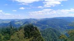 IMG_20250819_142512.jpg