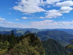 IMG_20250819_142519068.jpg