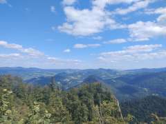 IMG_20250819_142634217.jpg