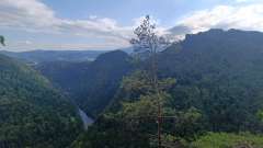 IMG_20250819_165732.jpg