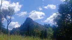IMG_20250818_110509.jpg