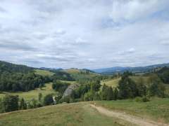 IMG_20250818_120621149.jpg