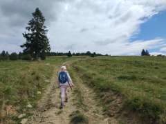 IMG_20250818_122101238.jpg