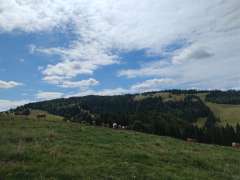 IMG_20250818_122317653.jpg