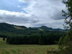 IMG_20250818_142107529_HDR.jpg