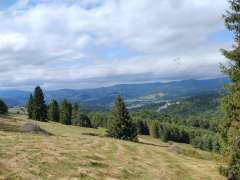 IMG_20250818_145712280.jpg