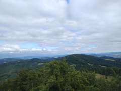 IMG_20250818_155524360.jpg