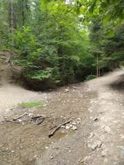 IMG_20250818_165142873.jpg