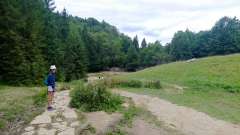 IMG_20250818_171848.jpg