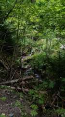 IMG_20250818_172907.jpg