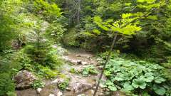 IMG_20250818_173029.jpg