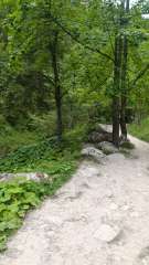 IMG_20250818_173854.jpg