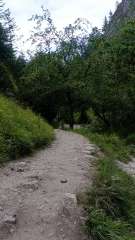 IMG_20250818_174402.jpg