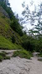 IMG_20250818_174432.jpg