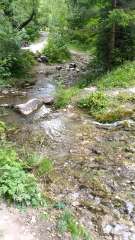 IMG_20250818_175326.jpg