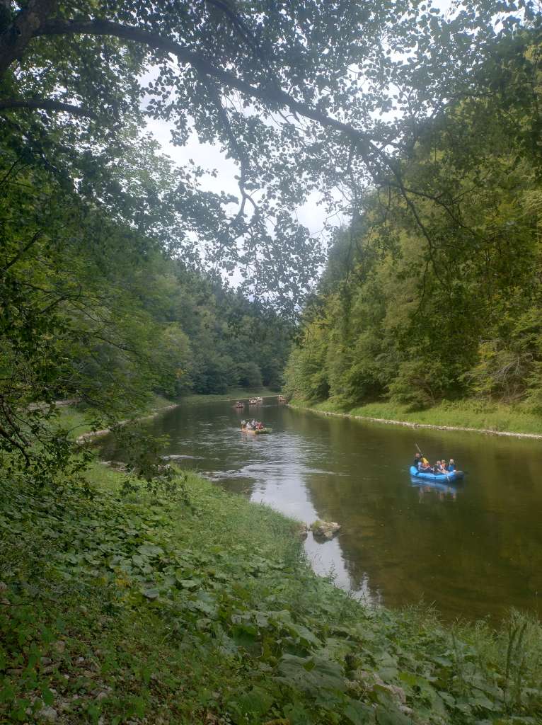 IMG_20250823_135304691_HDR.jpg