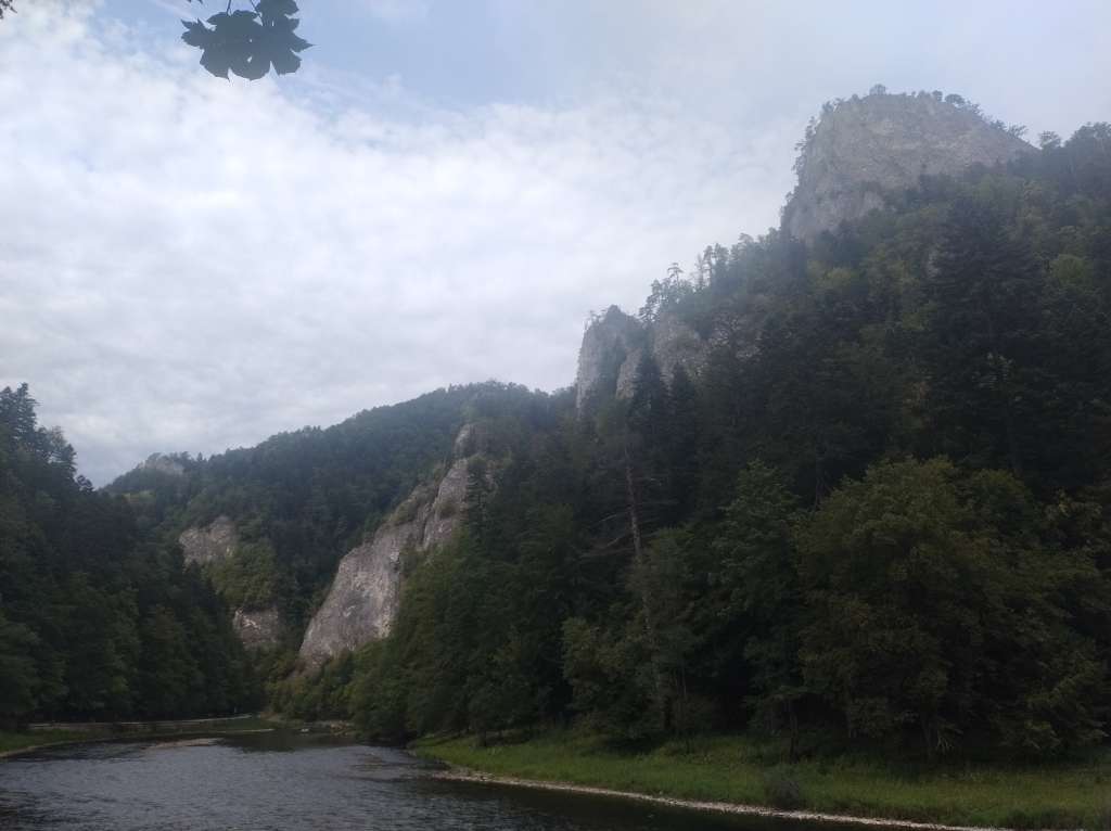 IMG_20250823_140536170.jpg