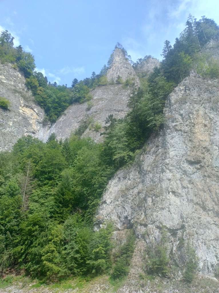 IMG_20250823_141122967_HDR.jpg