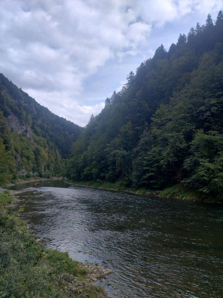 IMG_20250823_144649108_HDR.jpg