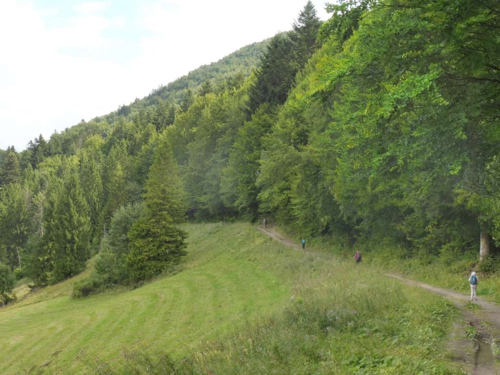P1110084.JPG