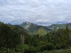 IMG_20250823_111129254.jpg
