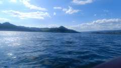 IMG_20250820_161046.jpg