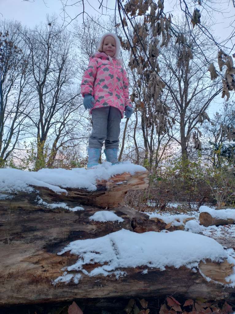 IMG_20241123_150715142_HDR.jpg
