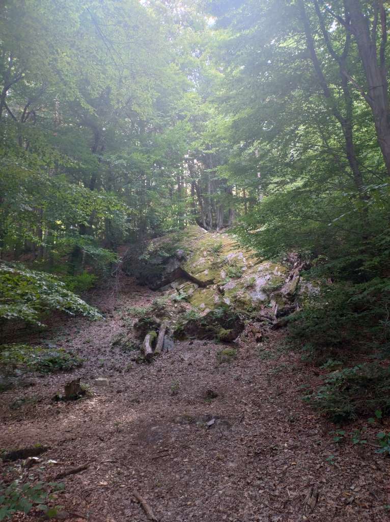 IMG_20240706_165648019_HDR.jpg