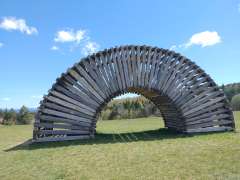 IMG_20260502_121111544.jpg