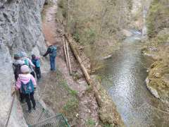 IMG_20260501_104126804.jpg