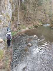 IMG_20260501_104939175.jpg