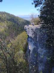 IMG_20260430_095749045.jpg