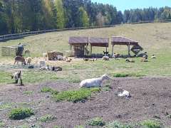 IMG_20260430_111306514.jpg