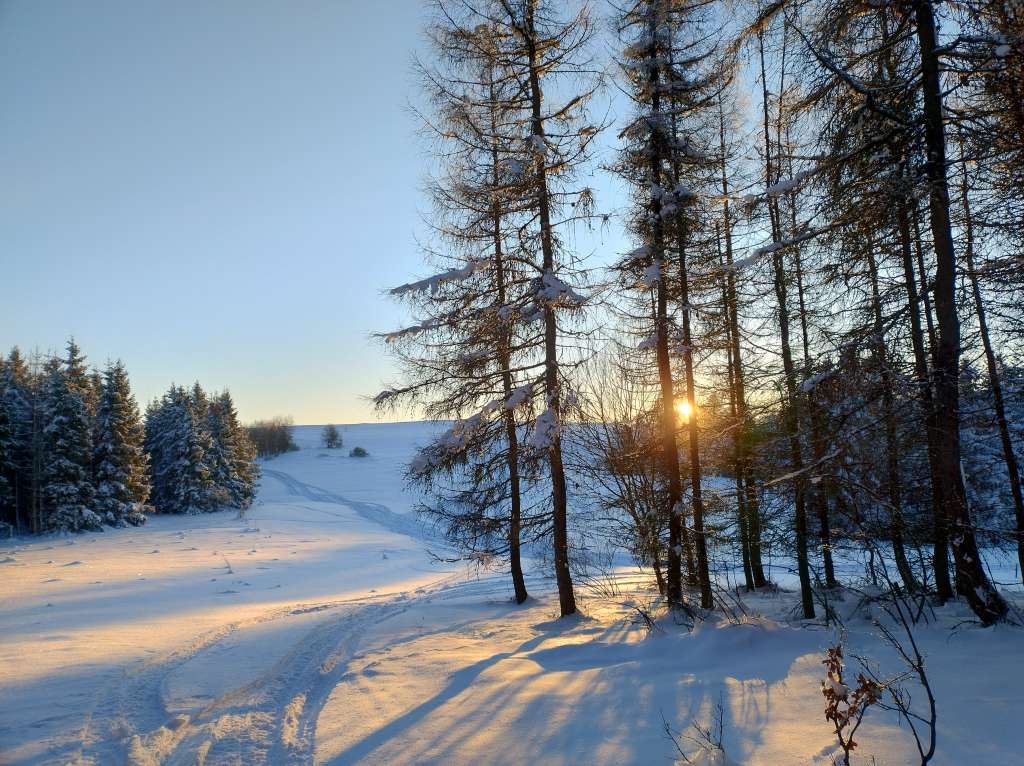 IMG_20260118_154156825_HDR.jpg