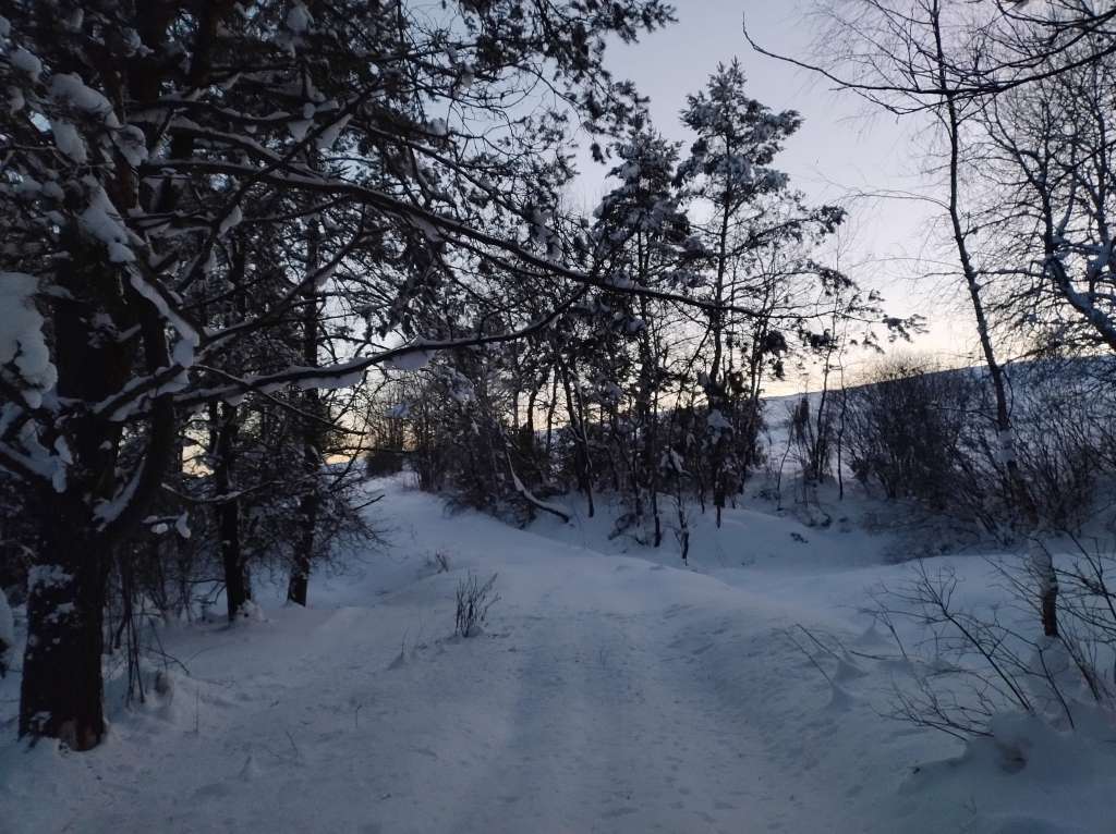 IMG_20260118_163634583_HDR.jpg