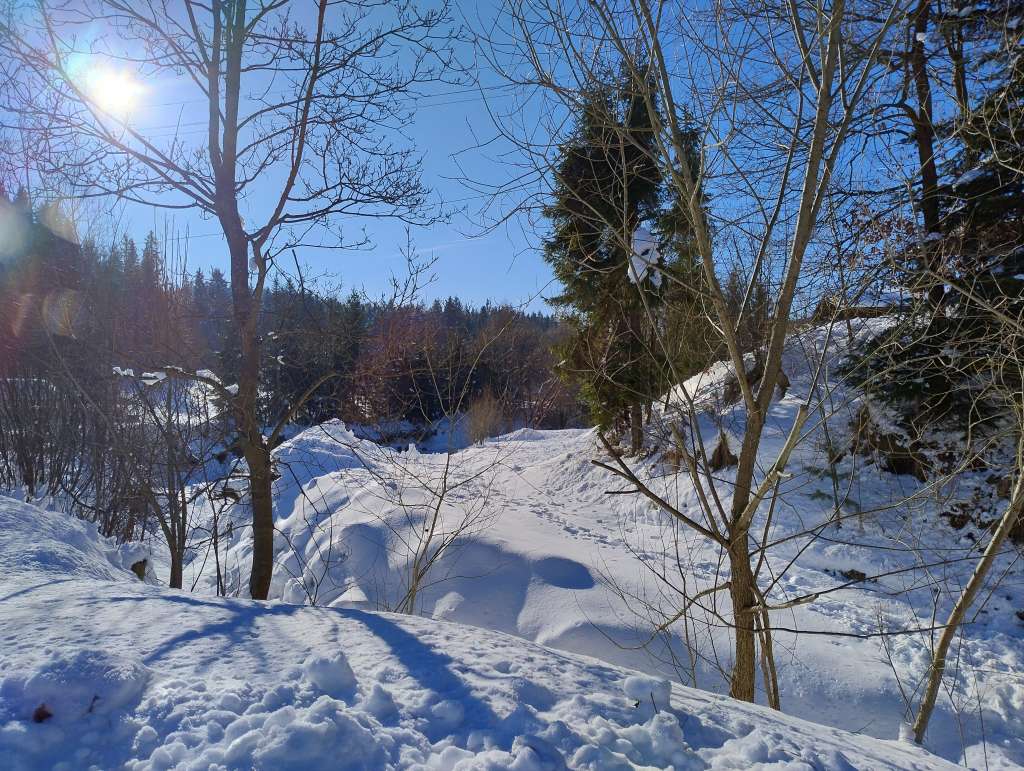 IMG_20260121_114804708_HDR.jpg
