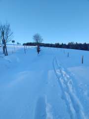 IMG_20260118_151928507.jpg