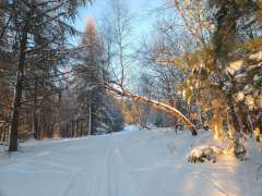 IMG_20260118_154152490.jpg