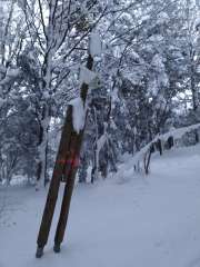 IMG_20260118_162333104.jpg