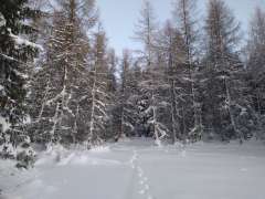 IMG_20260118_162511368.jpg
