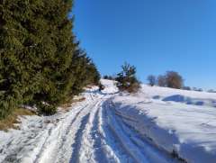 IMG_20260119_113013545.jpg