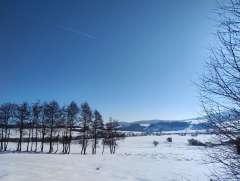 IMG_20260119_120208908.jpg