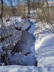 IMG_20260119_124628513.jpg