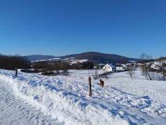 IMG_20260119_125114091.jpg